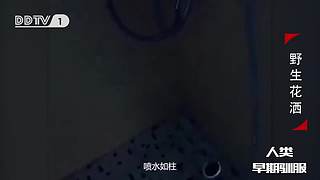 魏蜀吴群雄争霸，发弹幕加入国战