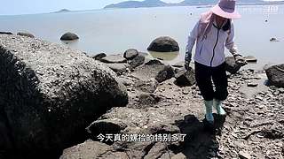 渔妹带你来赶海，来看有没有你没见过的
