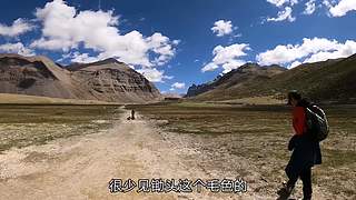 改装房车自驾游