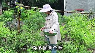 生蚝还可以这样吃