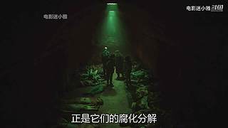 迷小雅最新爽剧解说