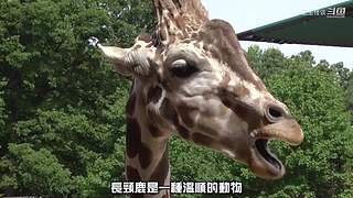 王生怪谈奇闻怪事