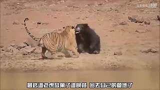 王生怪谈奇闻怪事