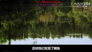 第一刀妹：单排100胜率大师