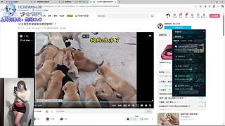 连胜有位 上车滴滴