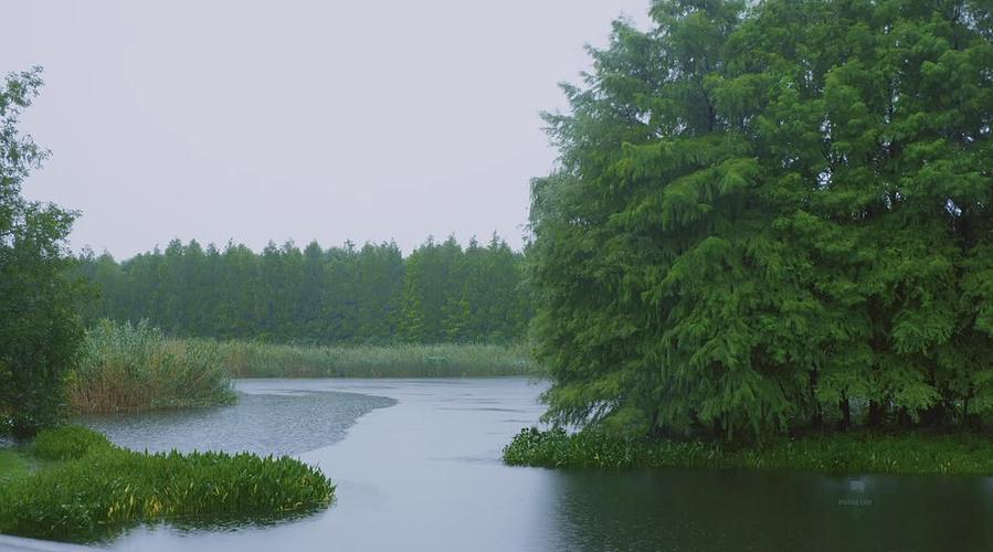 大自然的声音 治愈风景 帮助睡眠