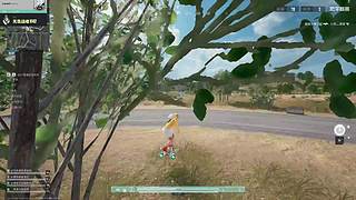 我什么都会玩，什么都想玩