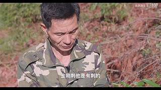 娱乐大于一切 10440627