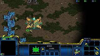 星际争霸比赛直播112233