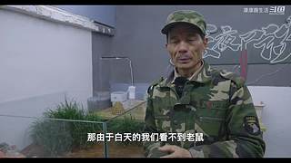 娱乐大于一切 10440627