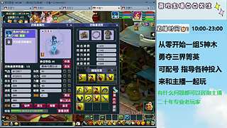 梦幻低投入指导