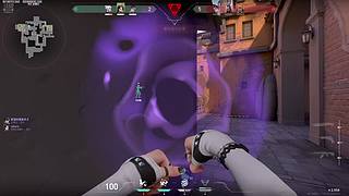 九的直播间 12586933