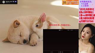 ♥ 排位/上分/通行证