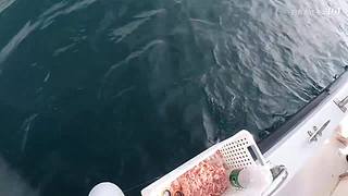 感谢钓友关注，每天分享鱼乐