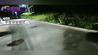 【小奶团】垃圾桶寻宝