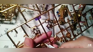 大家都不看好我，偏偏我也不争气！