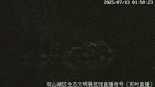 在线观鸟··