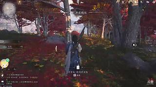 直播间3346