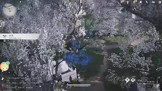 deift的直播间