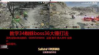 肝王之王王,砖友会