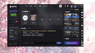 我玩的可能是假游戏T.T