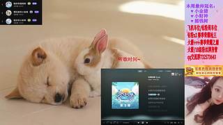 ♥ 排位/上分/通行证