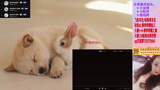 ♥ 排位/上分/通行证