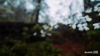 雨雪天自然音，漫步身临其境