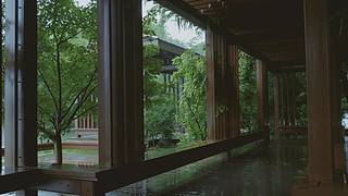 大自然的声音 治愈风景 帮助睡眠