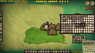 看直播得皮肤 饥荒小明鸽i