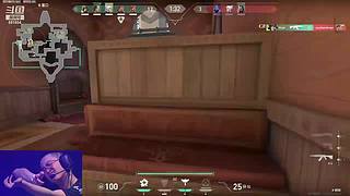 航天薄肌鼠