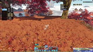 0.3打0-1300武勋威望战场逆水寒