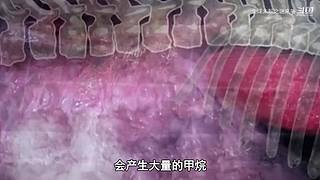 哈喽，全球未解之谜来咯