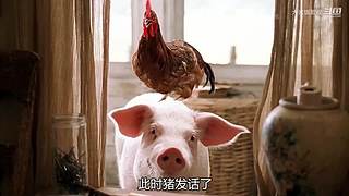 【喜剧电影】最全搞笑喜剧，从这一刻开始