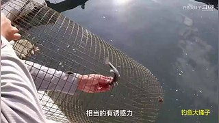 感谢钓友关注，每天分享鱼乐