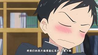 【月影轮播间】后宫番解说