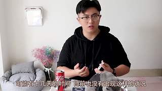 玩纸牌的yolo