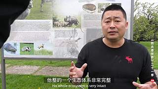 环球纪录片我去看世界的直播间