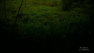 一起看英仙座流星雨