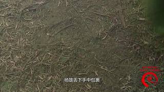 梁山好汉都在此