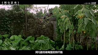 【一目十影】温情解说经典电影