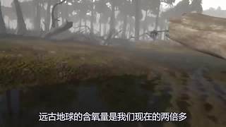 宇宙的尽头是什么？