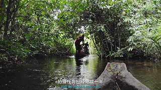 超人不会写代码的直播间