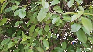 想你想你想你 11862656