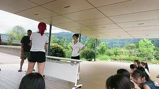 嘴团搬砖日常