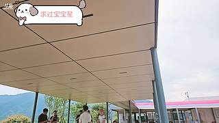 小艺的直播间 12548380