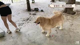 樱桃小欣欣子的直播间