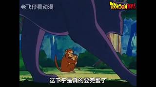 ☆卡卡罗特☆