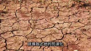 伴你入梦的娱乐科普