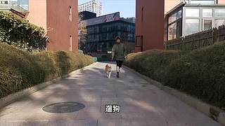 【毕导】数理化狂热爱好者